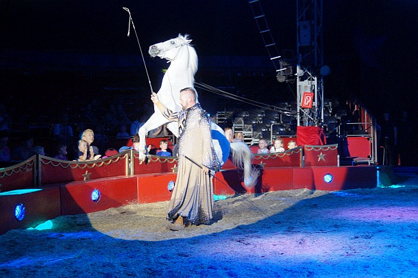 Marek Jama - Pferdedressur_2 - Zirkus Charles Knie