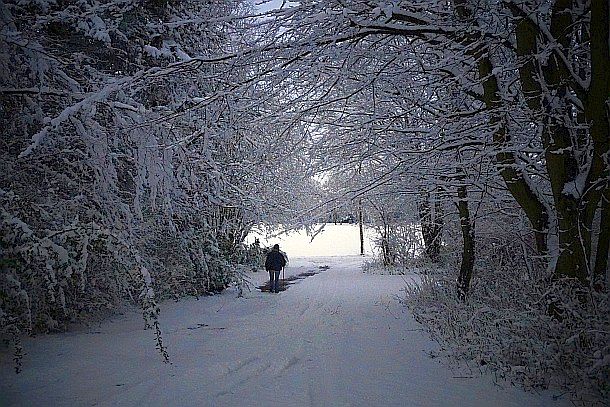 Winter in Freistatt - Wanderer