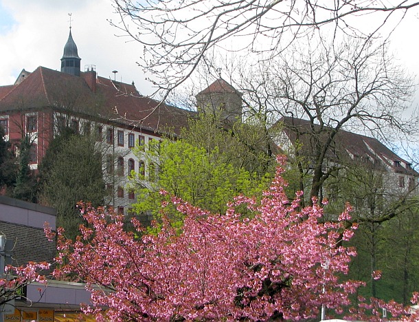 Schloss und Benediktinerabtei Bad Iburg