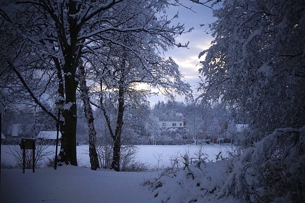 Blick auf Haus Platane