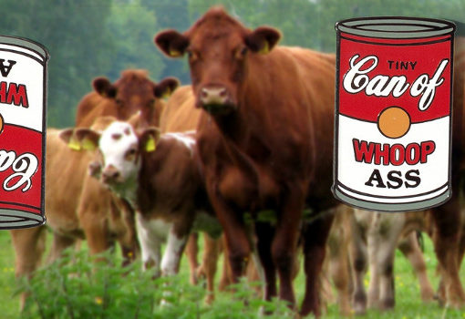canned-freistaetter-viehzeug_1170x350px