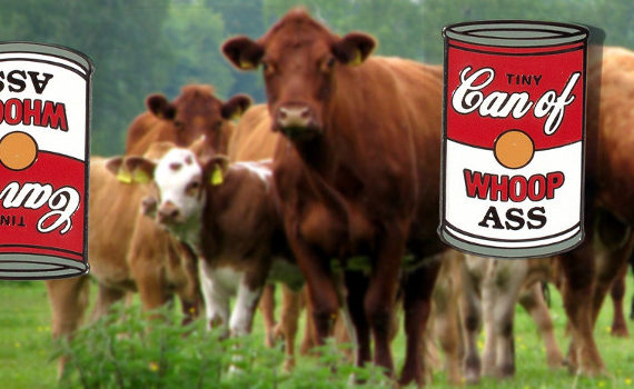 canned-freistaetter-viehzeug_1170x350px