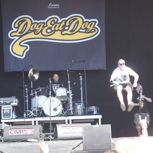 Dog Eat Dog Reload Sulingen 2016