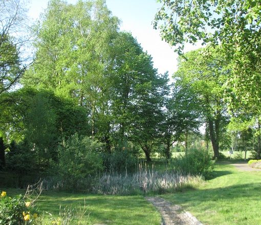 Baumgruppe am Spielplatz