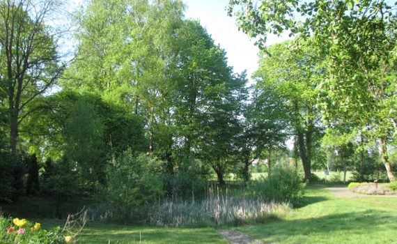 Baumgruppe am Spielplatz