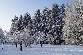 Winter in Freistatt