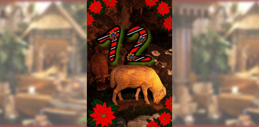 Das zwölfte Türchen - Hund und Schafe der Weihnachtskrippe in der Zionskirche Bethel