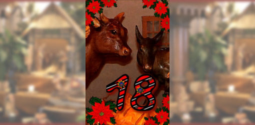 Das achtzehnte Türchen - Stier und Esel der Weihnachtskrippe in der Zionskirche Bethel