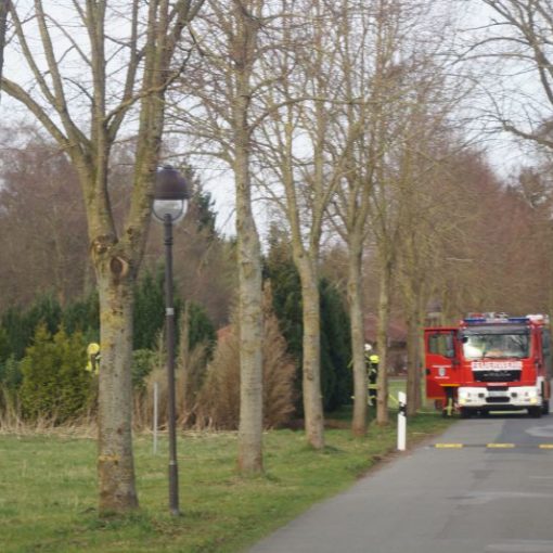 Feuerwehreinsatz am frühen Sonntagabend