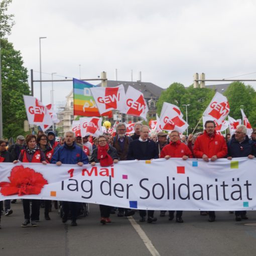 protestmarsch_titelbild