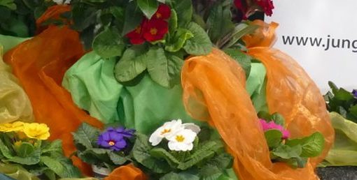 Junglandwirtetag 2019 in der DEULAJunglandwirtetag 2019 in der DEULA Nienburg Nienburg