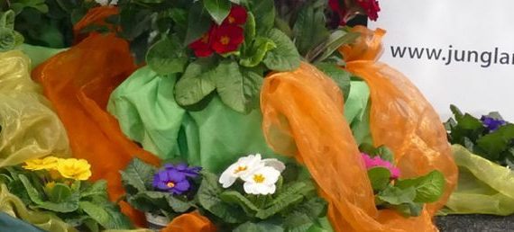 Junglandwirtetag 2019 in der DEULAJunglandwirtetag 2019 in der DEULA Nienburg Nienburg