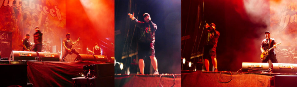 Die Spätschicht mit Hatebreed beim RELOAD Festival 2019 in Sulingen