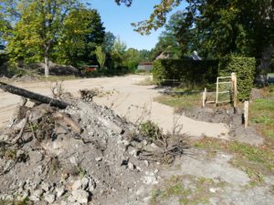 Baggerarbeiten für Freistatts neues Altenhilfezentrum (4)