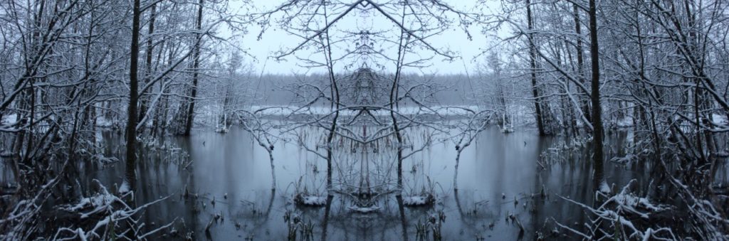 Moorbild 7- (c) Anne Nygard - unsplash.com