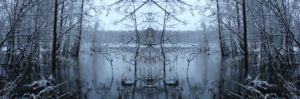 Moorbild 7- (c) Anne Nygard - unsplash.com