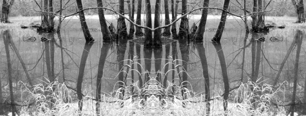 Moorbild 8 - (c) Jan Pojer - unsplash.com