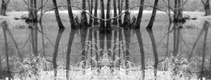 Moorbild 8 - (c) Jan Pojer - unsplash.com