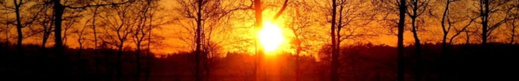 Moorbild 5 - Sonnenuntergang - (c) Jens R., Freistatt - wohnungslos.info