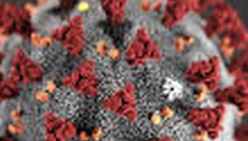 corona_titlebild