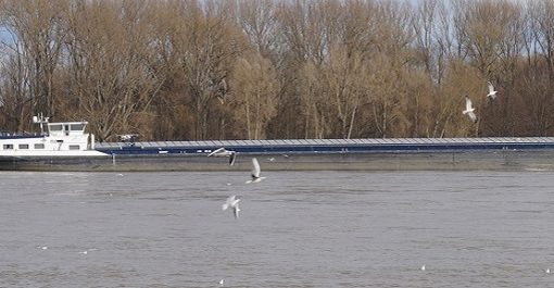 Bonn 2020