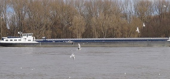 Bonn 2020