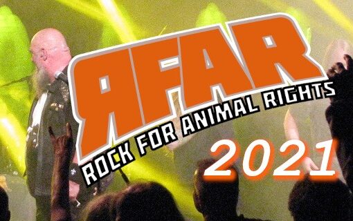 header_RFAR-2021_Freitag_1170x320px