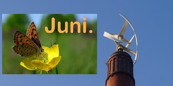 Programm Schlachthof 6/2022