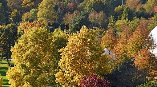 PdG Herbstimpressionen Titel