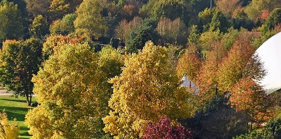 PdG Herbstimpressionen Titel