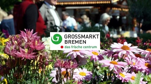 Großmarkt Bremen Lenzmarkt 2023 Titel