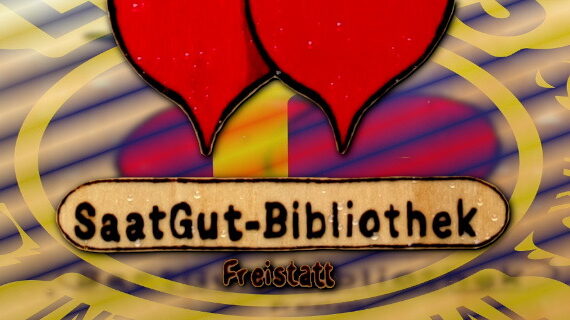 header_SaatGut-Bibliothek-Freistatt_1170x320px