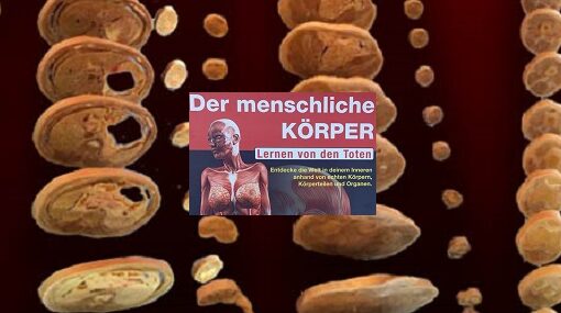Körper.Science Bremen