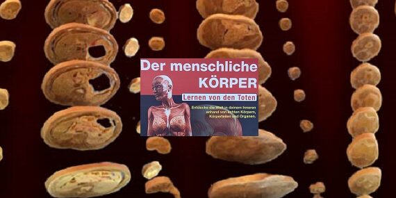Körper.Science Bremen