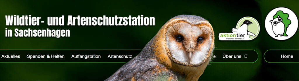 Header_Artenschutzstation-Sachsenhagen_Schleiereule_04_1920x680px