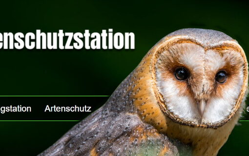 Header_Artenschutzstation-Sachsenhagen_Schleiereule_04_1920x680px