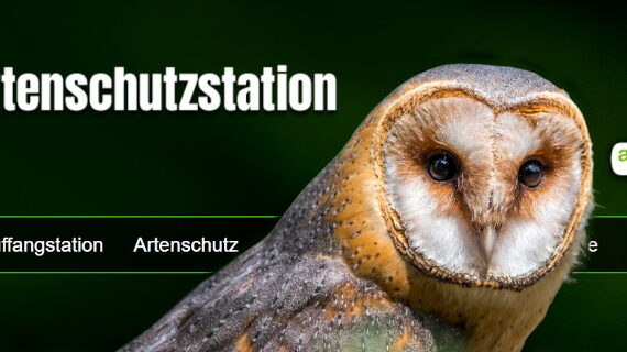 Header_Artenschutzstation-Sachsenhagen_Schleiereule_04_1920x680px