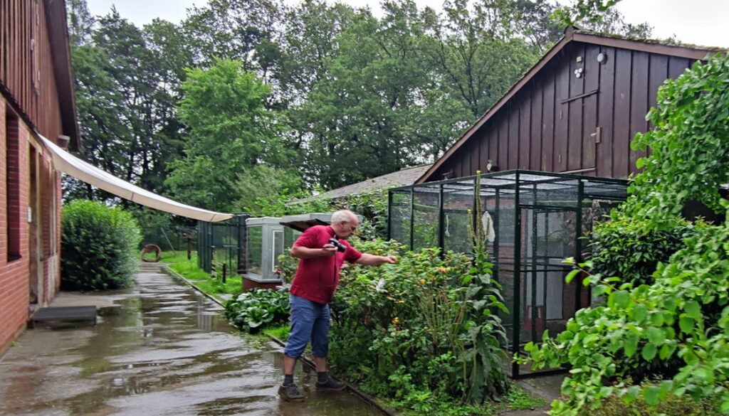 Wildtierstation Sachsenhagen - Außenvolieren