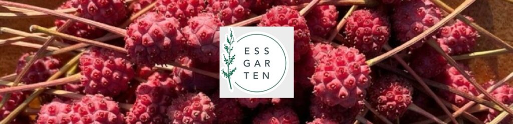 Essgarten BSB Titel