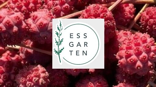 Essgarten BSB Titel