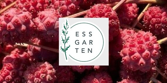 Essgarten BSB Titel