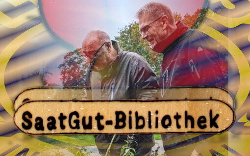header_SaatGut-Bibliothek-Freistatt_2024-neu_1170x320px