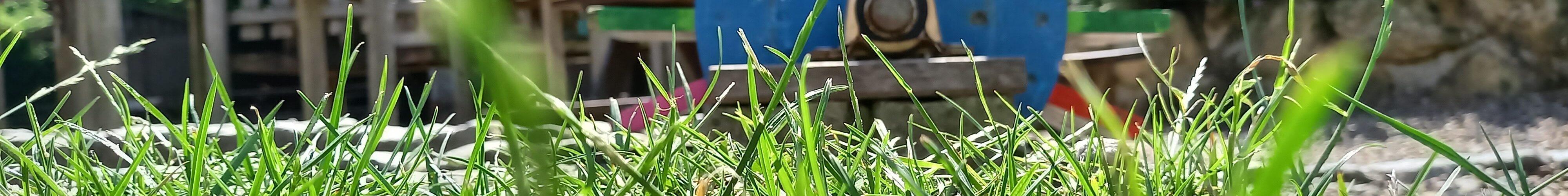 Buntes Rad im Sinnesgarten