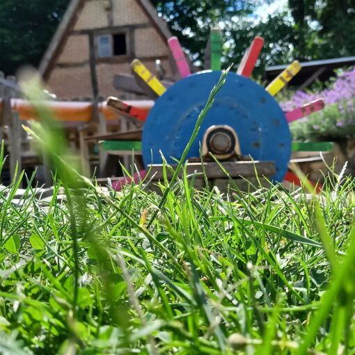 Buntes Rad im Sinnesgarten