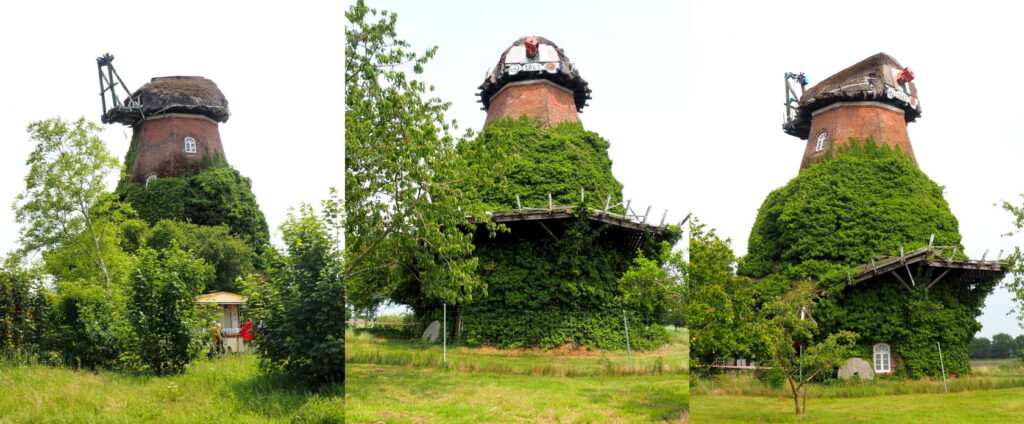 Deutsche Stiftung Denkmalschutz: Windmühle Barver - drei Ansichten | Fotos: Moritz Gerke
