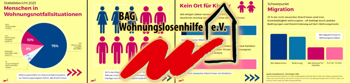 BAG Wohnungslosenhilfe - Statistik-Bericht 2025